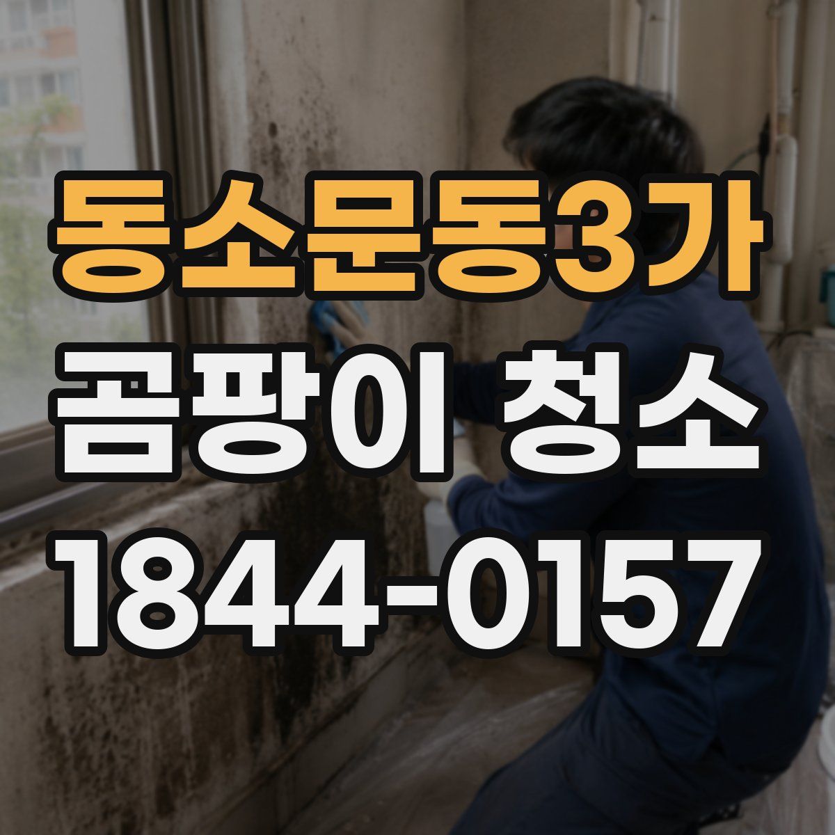 동소문동3가 곰팡이 청소