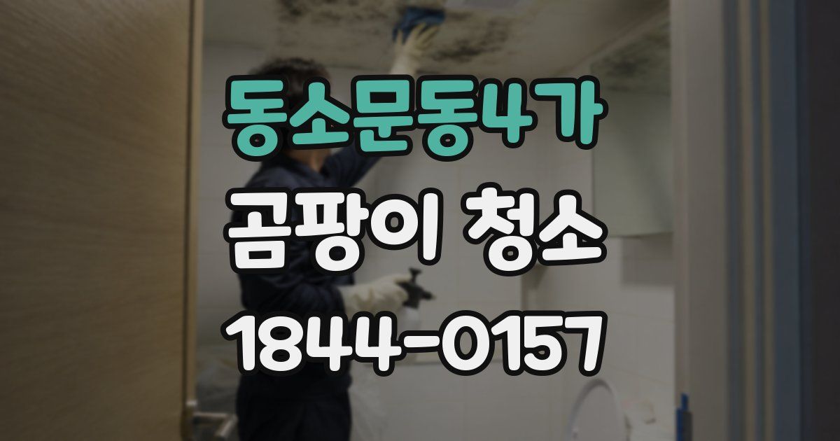 동소문동4가 곰팡이 청소