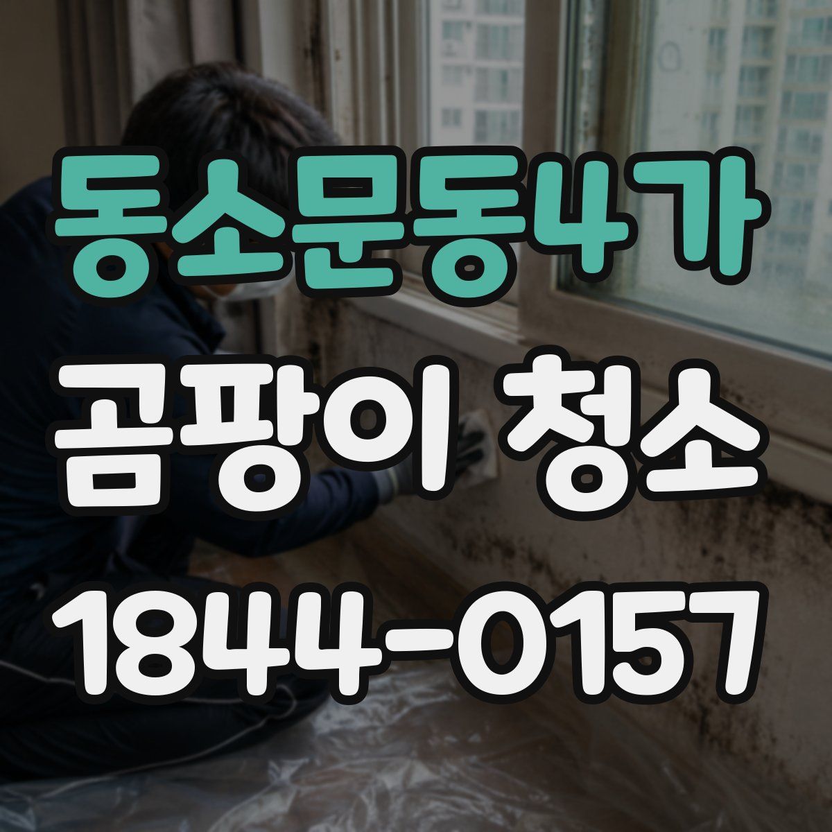 동소문동4가 곰팡이 청소