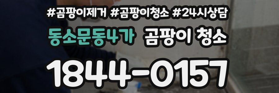 동소문동4가 곰팡이 청소
