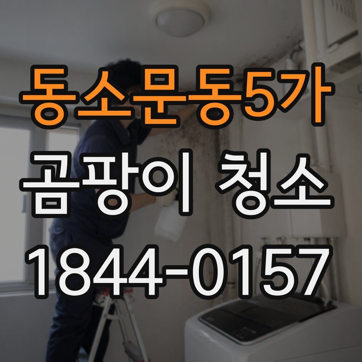 동소문동5가 곰팡이 청소 포자 번짐을 줄이는 닦기 순서와 준비