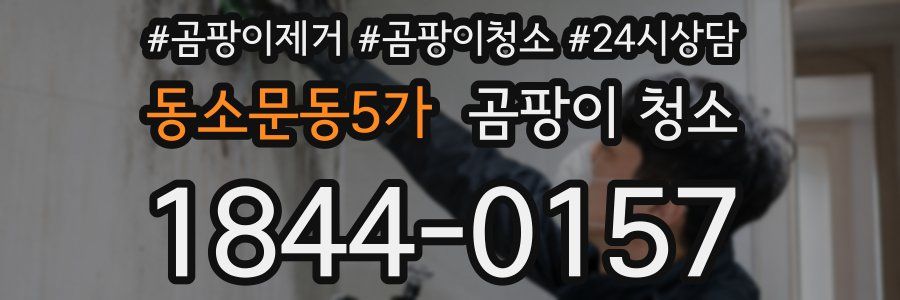 동소문동5가 곰팡이 청소