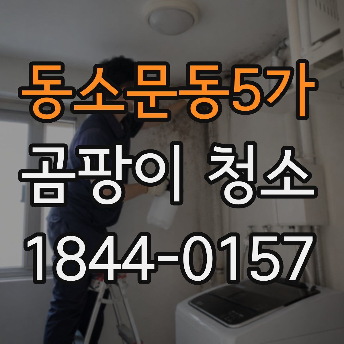 동소문동5가 곰팡이 청소