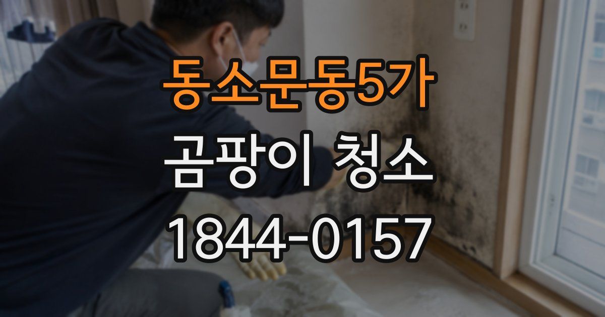 동소문동5가 곰팡이 청소