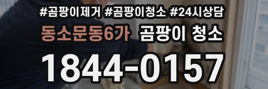 동소문동6가 곰팡이 청소