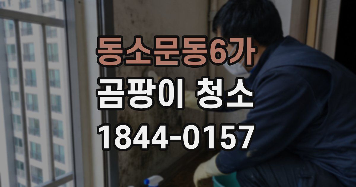 동소문동6가 곰팡이 청소