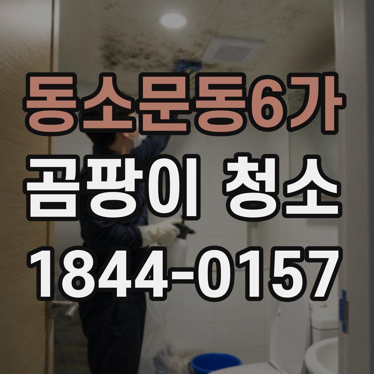동소문동6가 곰팡이 청소
