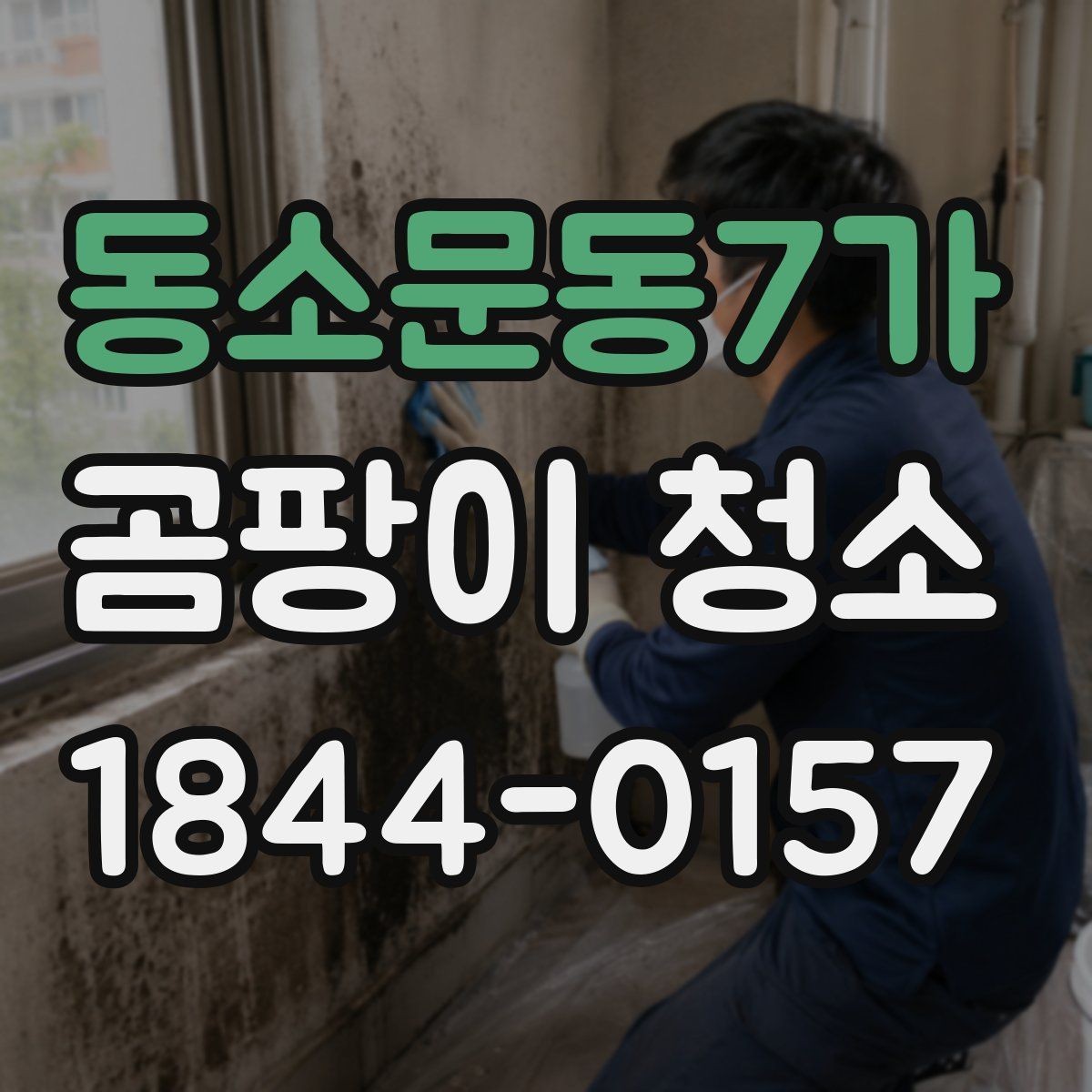 동소문동7가 곰팡이 청소 주방과 욕실은 이렇게 다르게 봐야 하는 이유