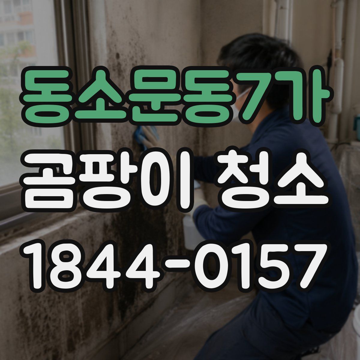 동소문동7가 곰팡이 청소