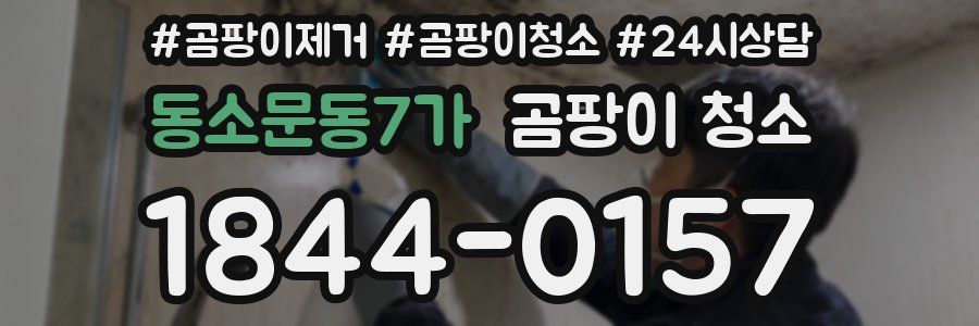 동소문동7가 곰팡이 청소
