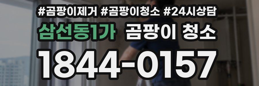 삼선동1가 곰팡이 청소