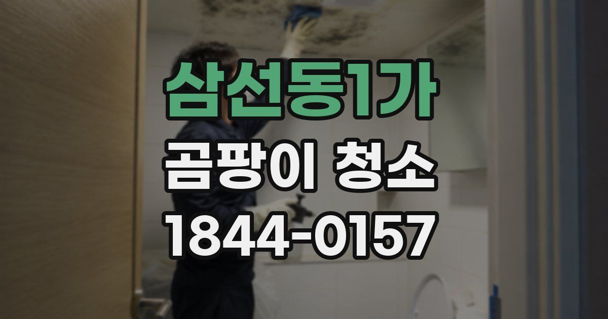 삼선동1가 곰팡이 청소