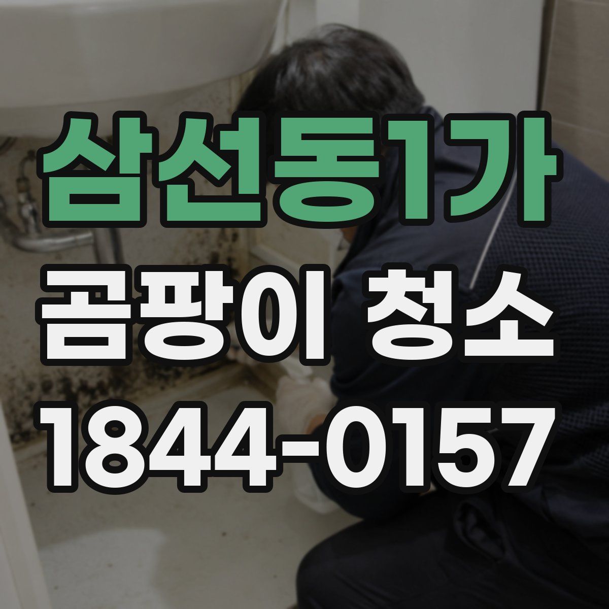 삼선동1가 곰팡이 청소