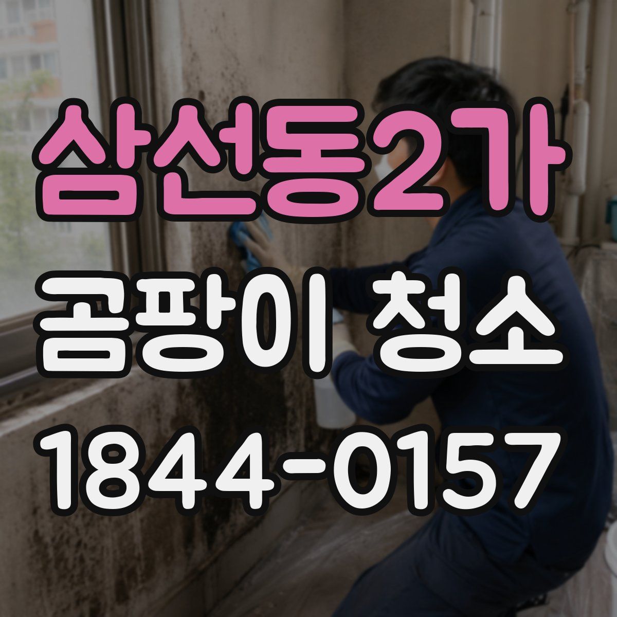 삼선동2가 곰팡이 청소