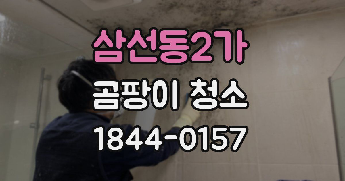 삼선동2가 곰팡이 청소