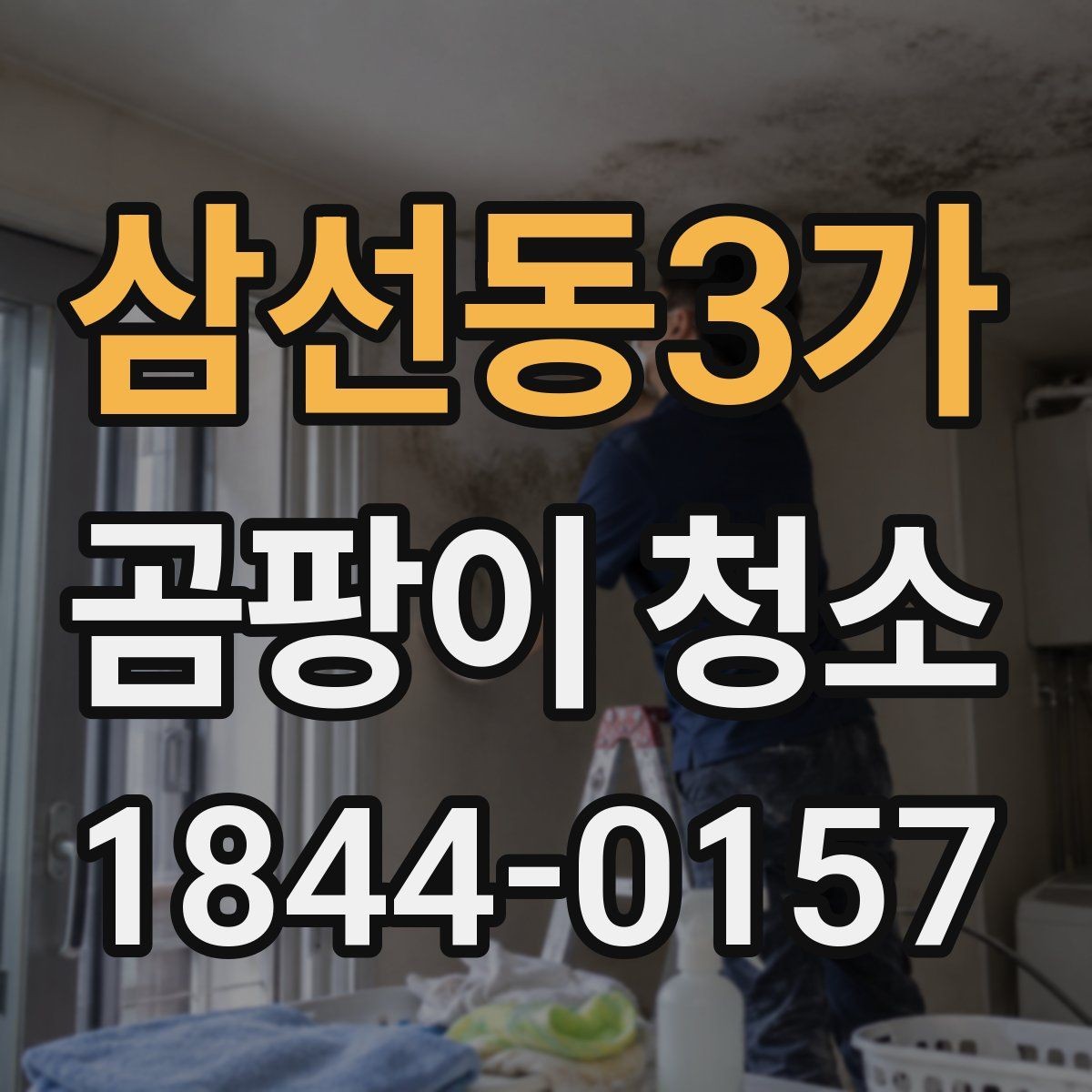 삼선동3가 곰팡이 청소 재도장 전 벽면 정리와 점검 포인트