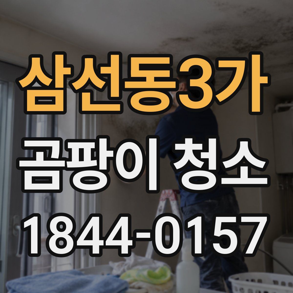 삼선동3가 곰팡이 청소