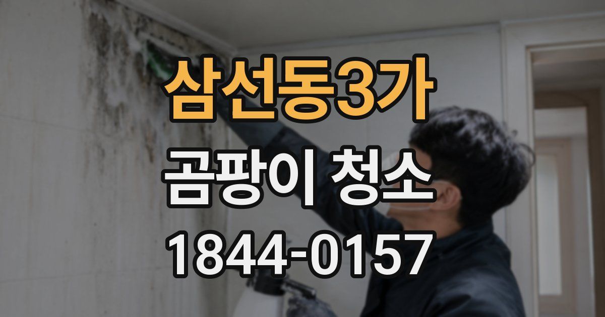 삼선동3가 곰팡이 청소