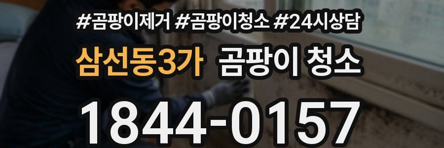 삼선동3가 곰팡이 청소