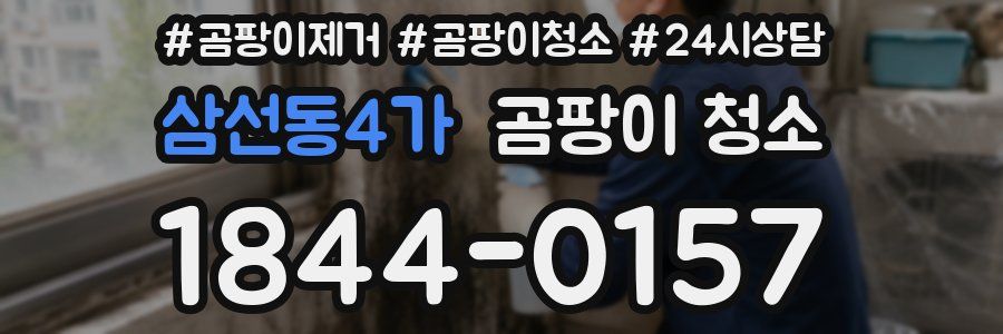 삼선동4가 곰팡이 청소