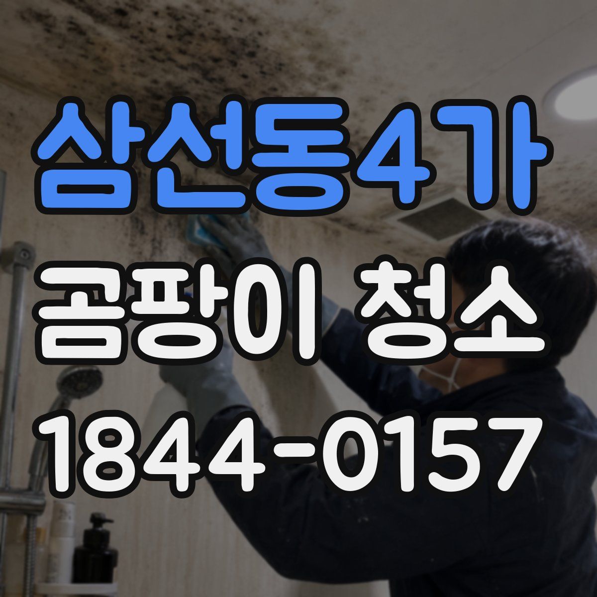 삼선동4가 곰팡이 청소