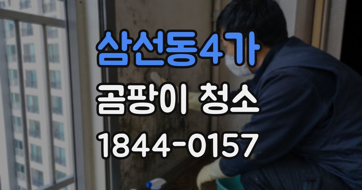 삼선동4가 곰팡이 청소