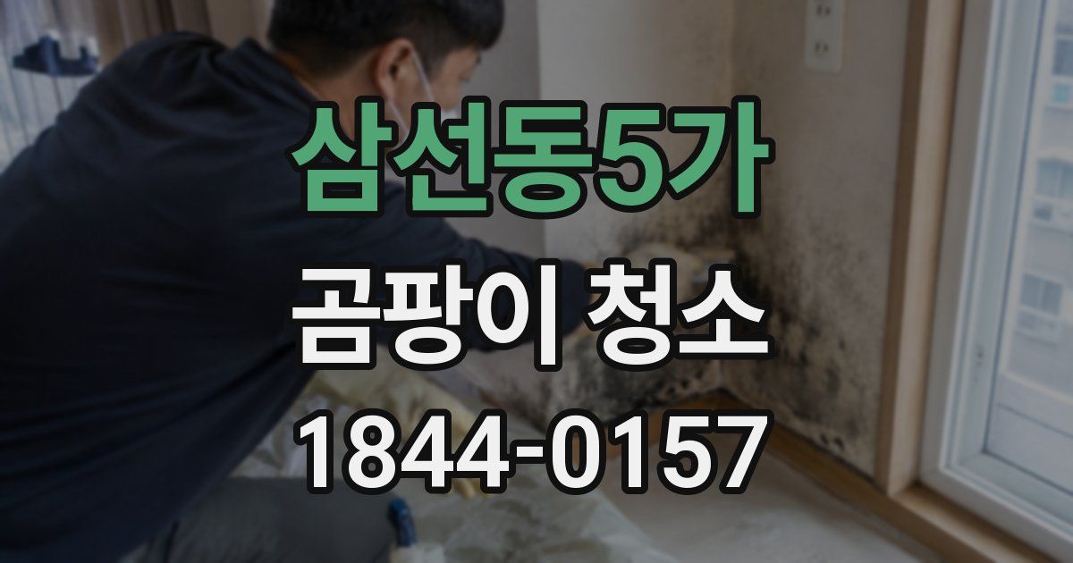 삼선동5가 곰팡이 청소