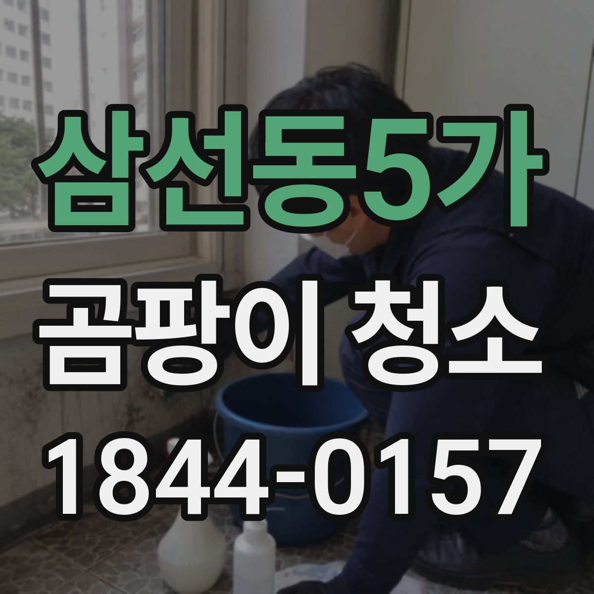삼선동5가 곰팡이 청소