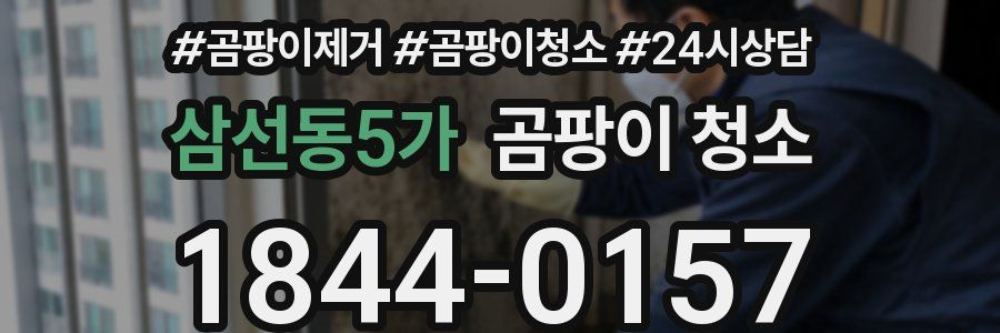삼선동5가 곰팡이 청소
