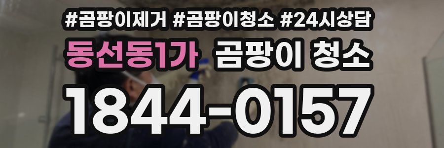 동선동1가 곰팡이 청소