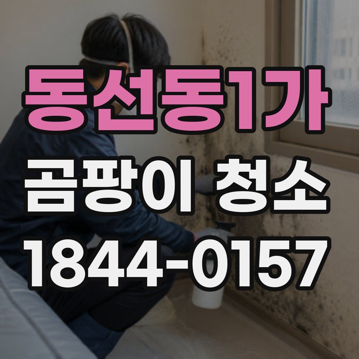 동선동1가 곰팡이 청소