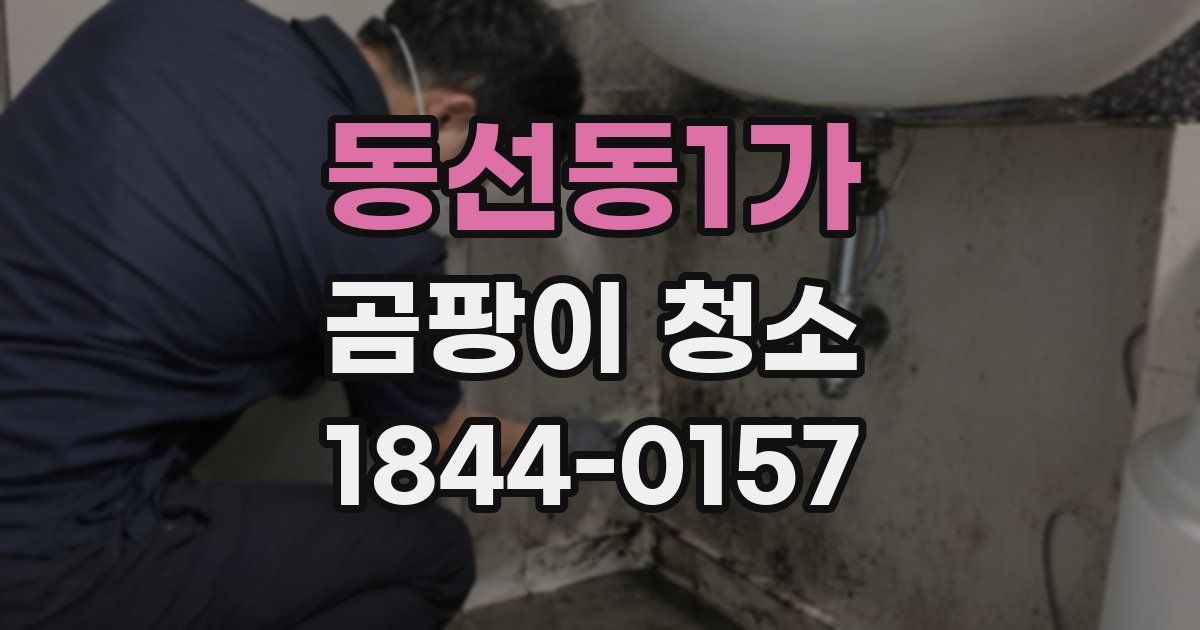 동선동1가 곰팡이 청소