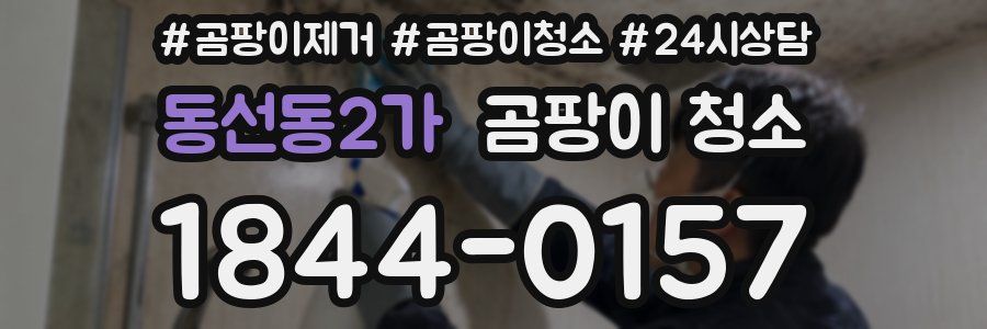 동선동2가 곰팡이 청소