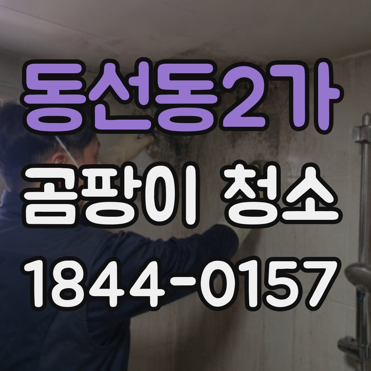 동선동2가 곰팡이 청소