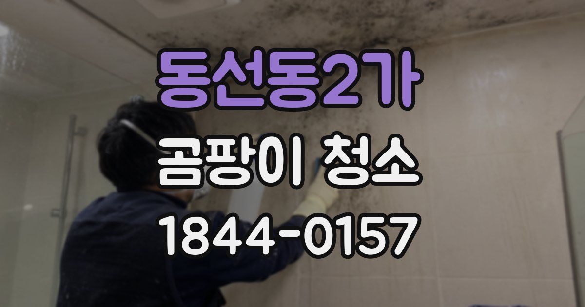 동선동2가 곰팡이 청소