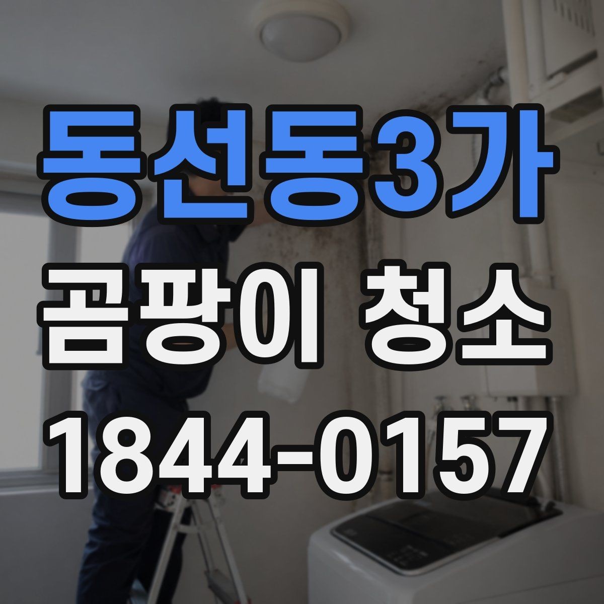 동선동3가 곰팡이 청소 욕실 줄눈과 실리콘을 따로 보는 관리 기준