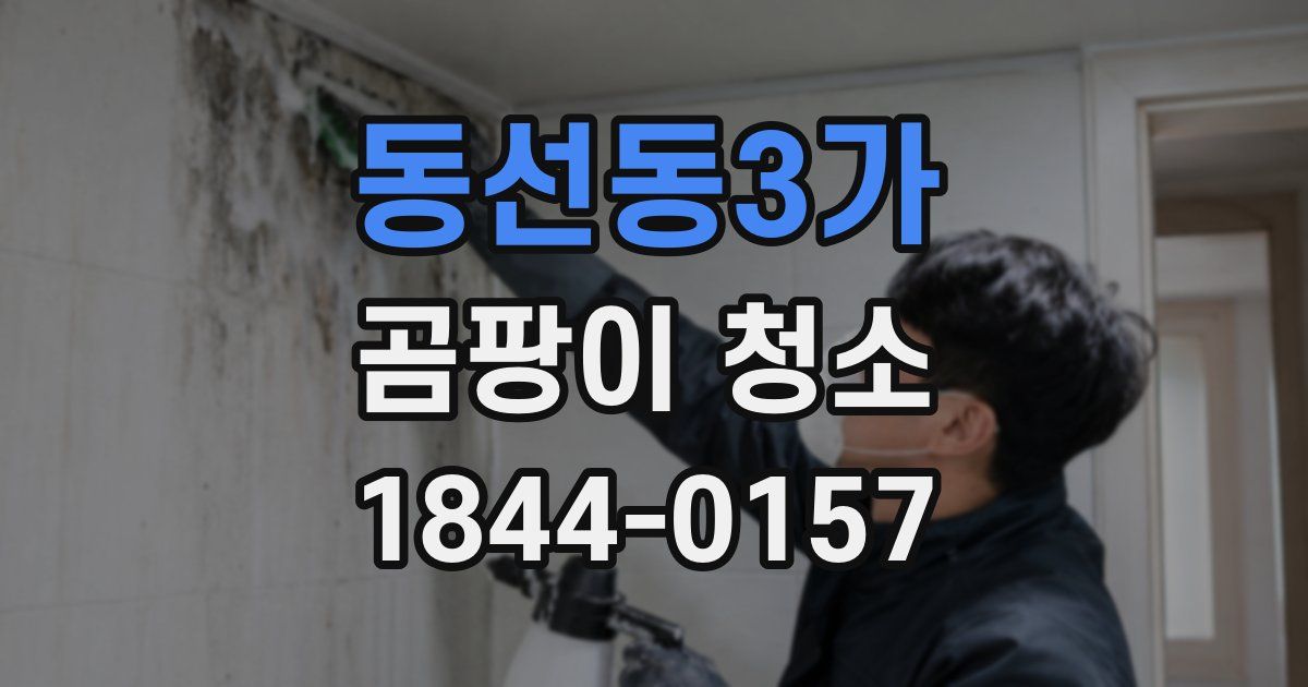 동선동3가 곰팡이 청소