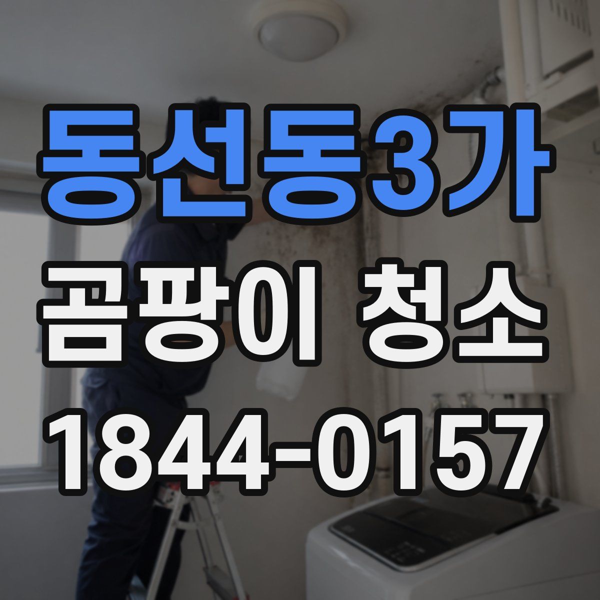 동선동3가 곰팡이 청소