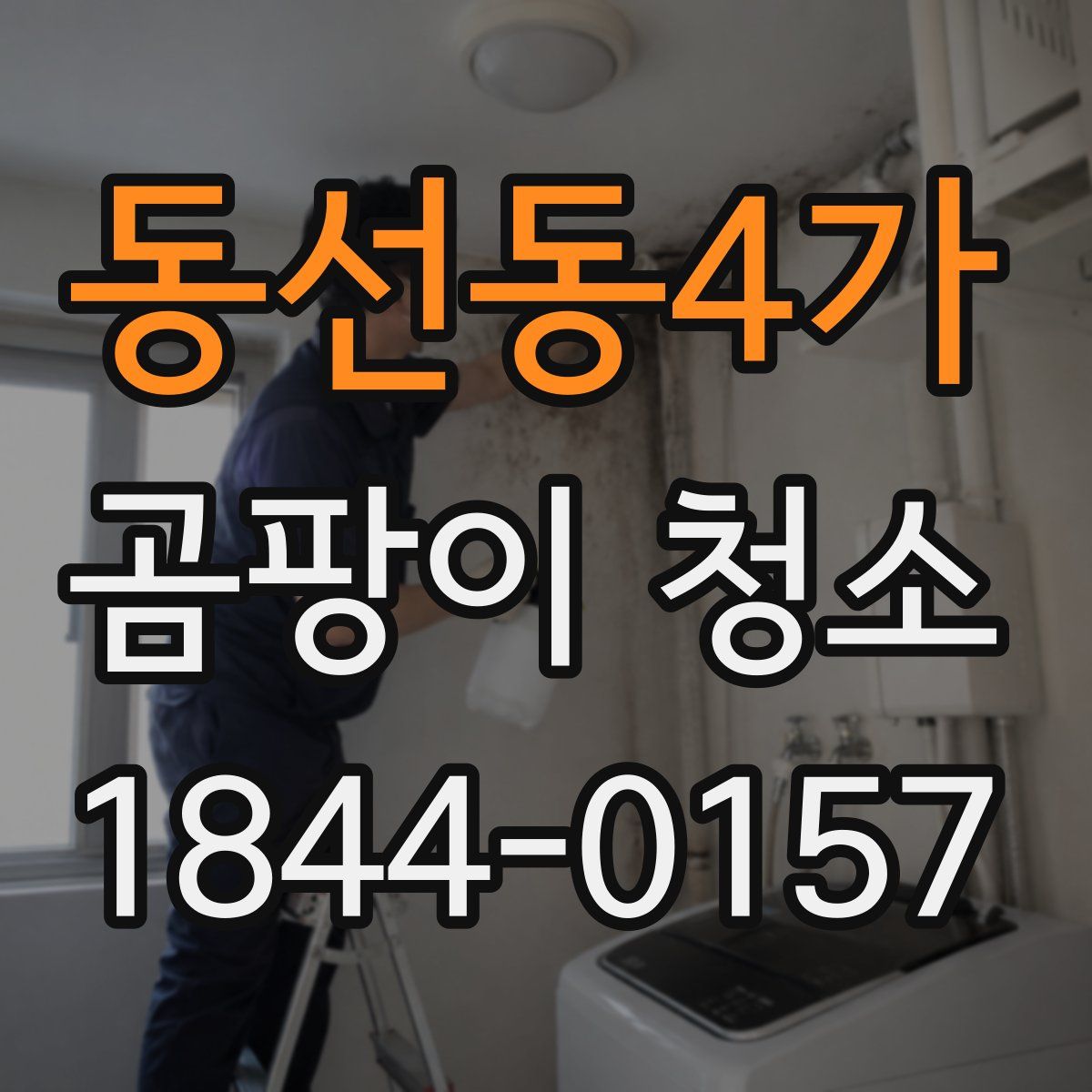 동선동4가 곰팡이 청소