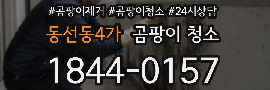 동선동4가 곰팡이 청소
