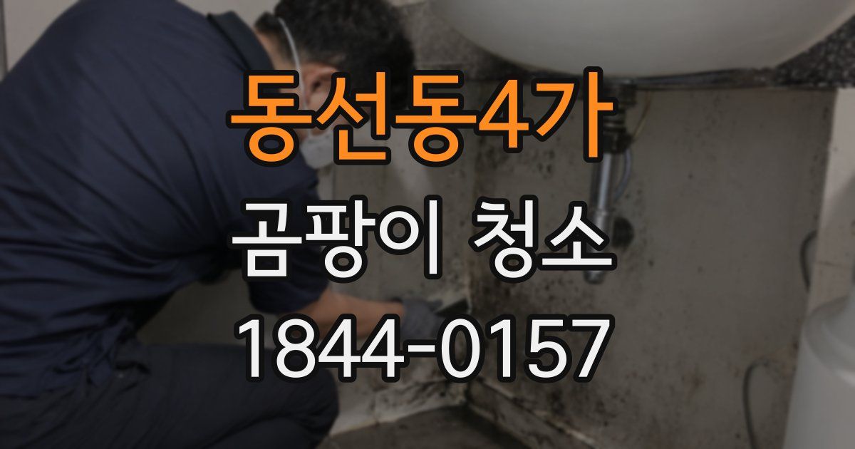 동선동4가 곰팡이 청소