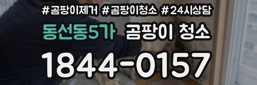 동선동5가 곰팡이 청소