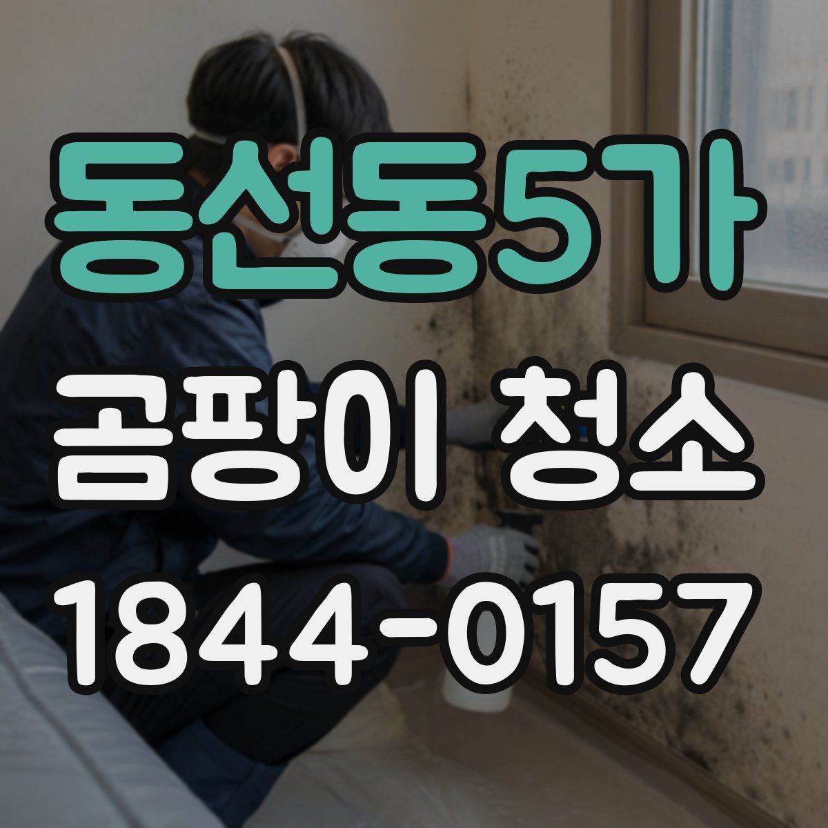 동선동5가 곰팡이 청소