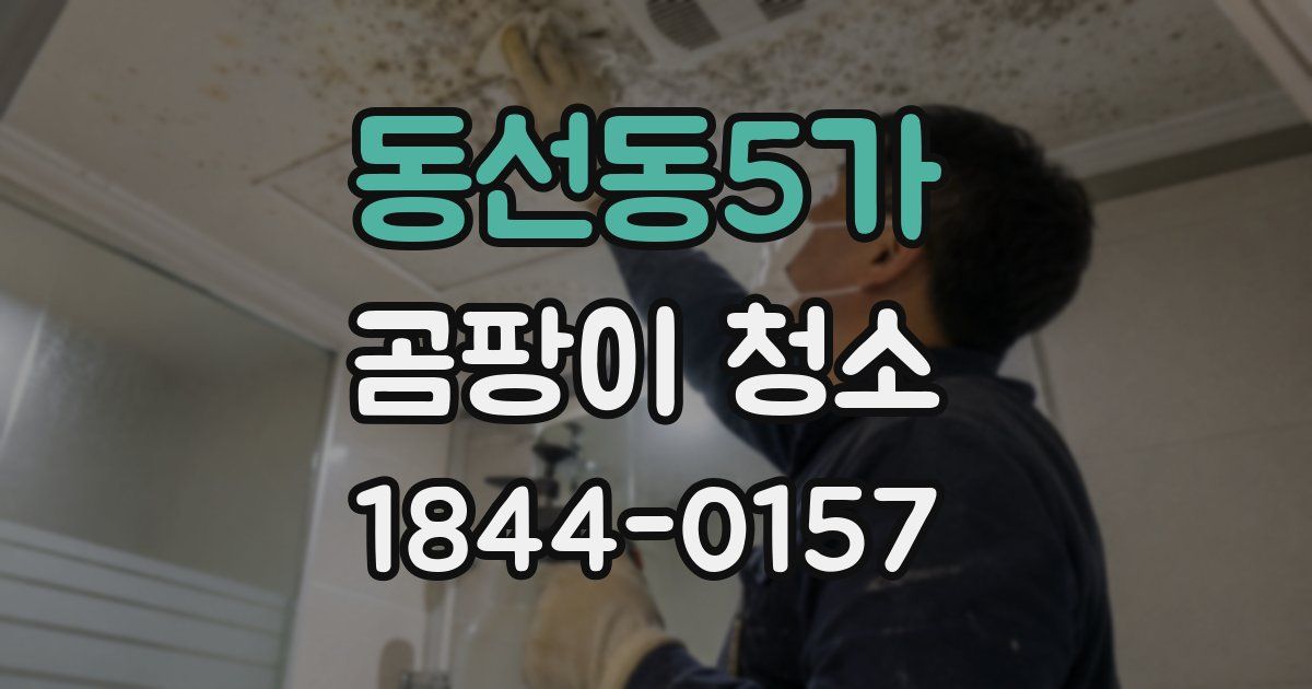 동선동5가 곰팡이 청소
