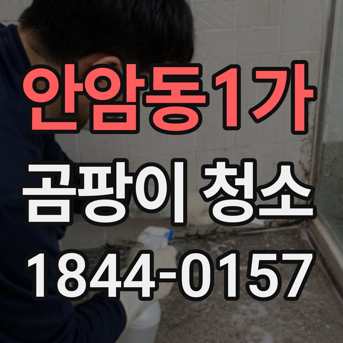 안암동1가 곰팡이 청소