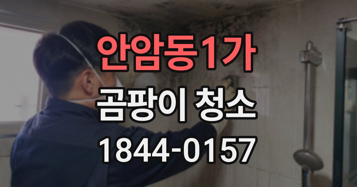 안암동1가 곰팡이 청소