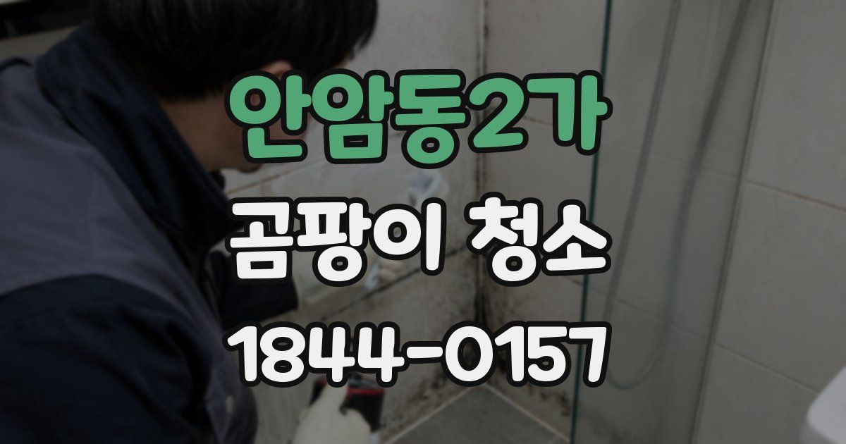 안암동2가 곰팡이 청소