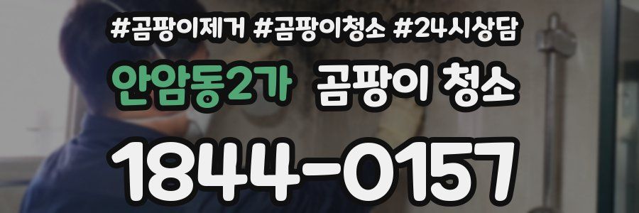 안암동2가 곰팡이 청소