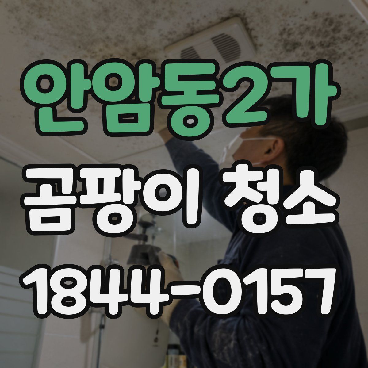 안암동2가 곰팡이 청소