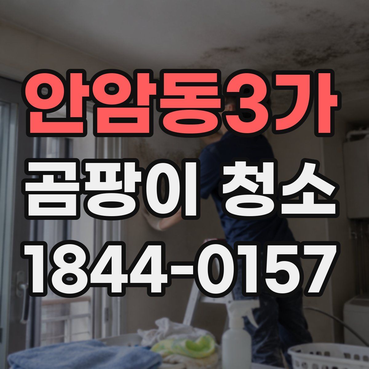 안암동3가 곰팡이 청소